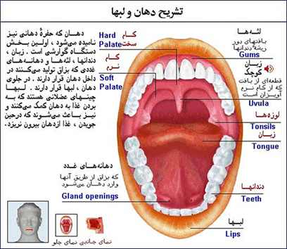 بیماریهای دهان